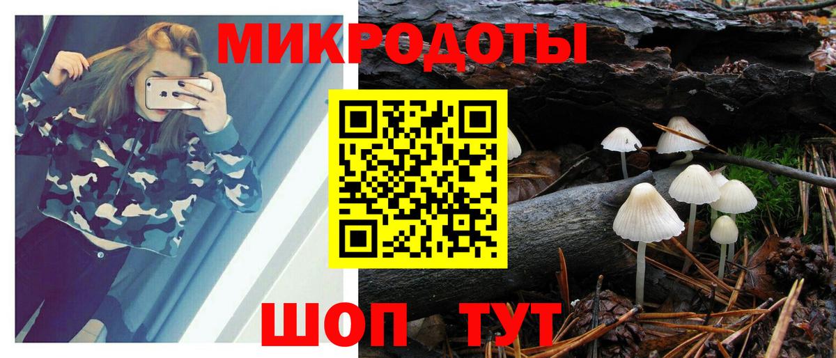 Россия  Псилоцибиновые грибы Magic Shrooms  Вход с VPN 